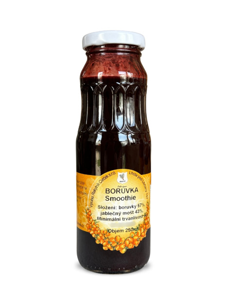 Borůvkové smoothie 250ml